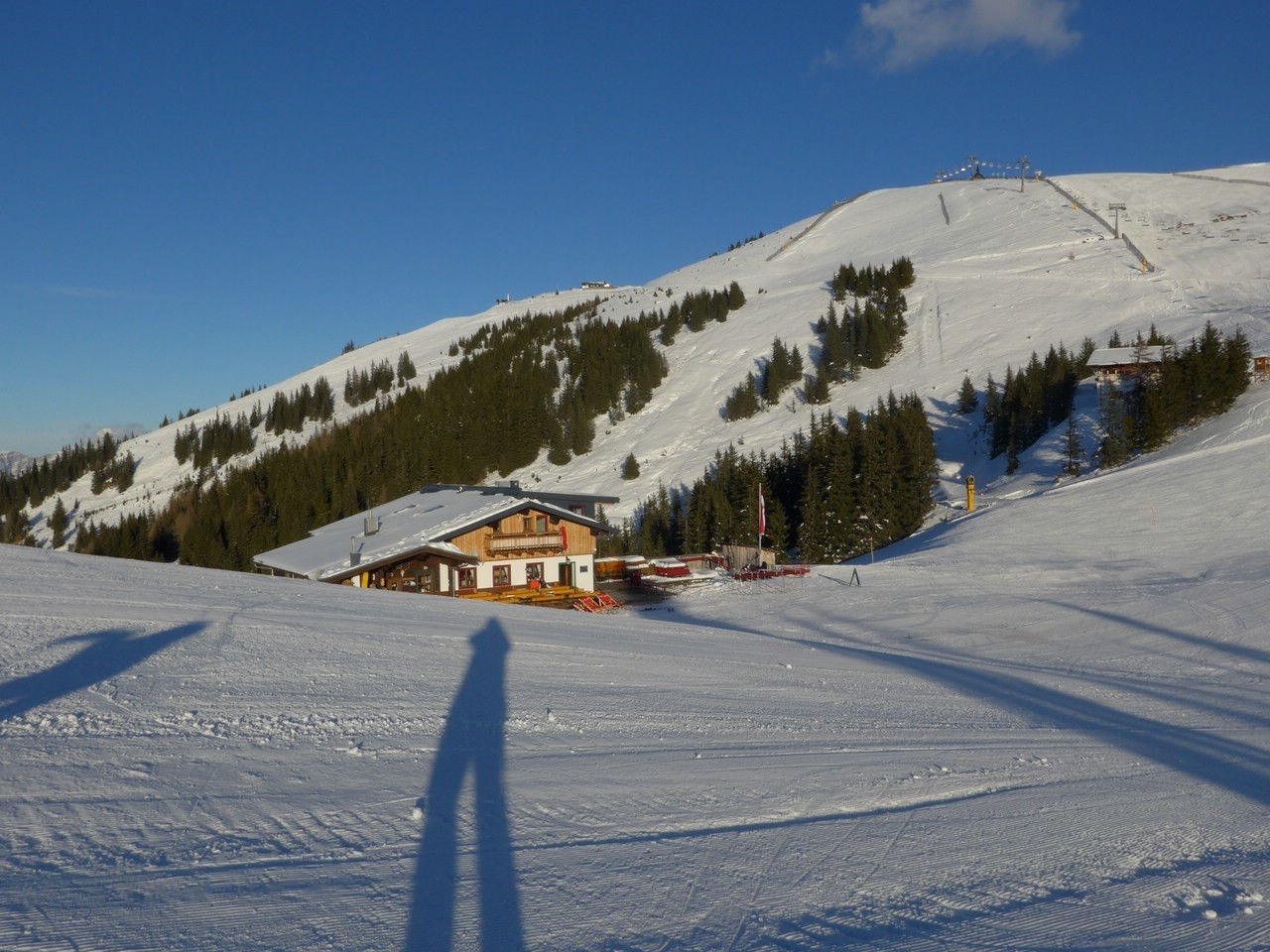 P1110058.jpg
