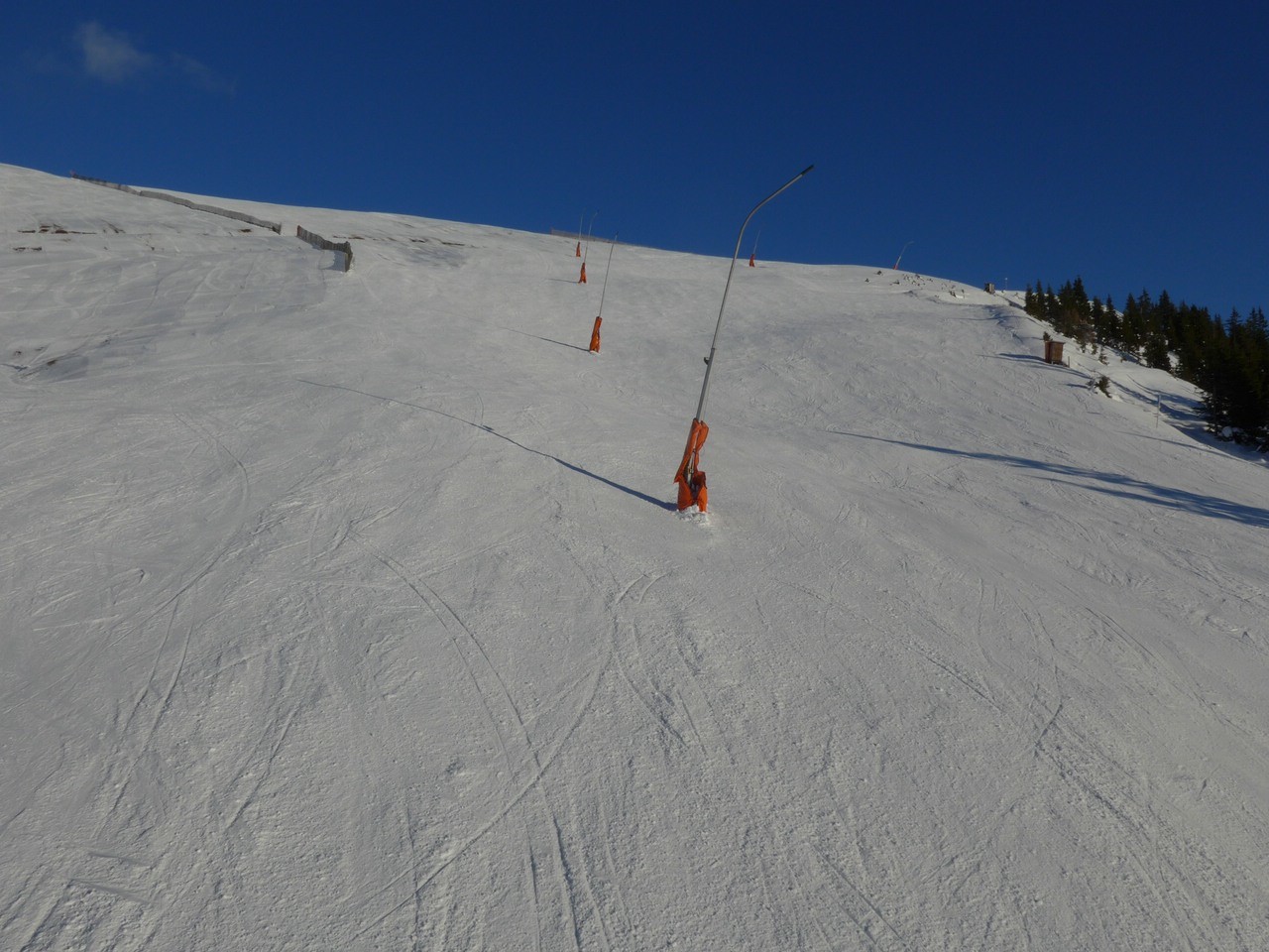 P1110060.jpg