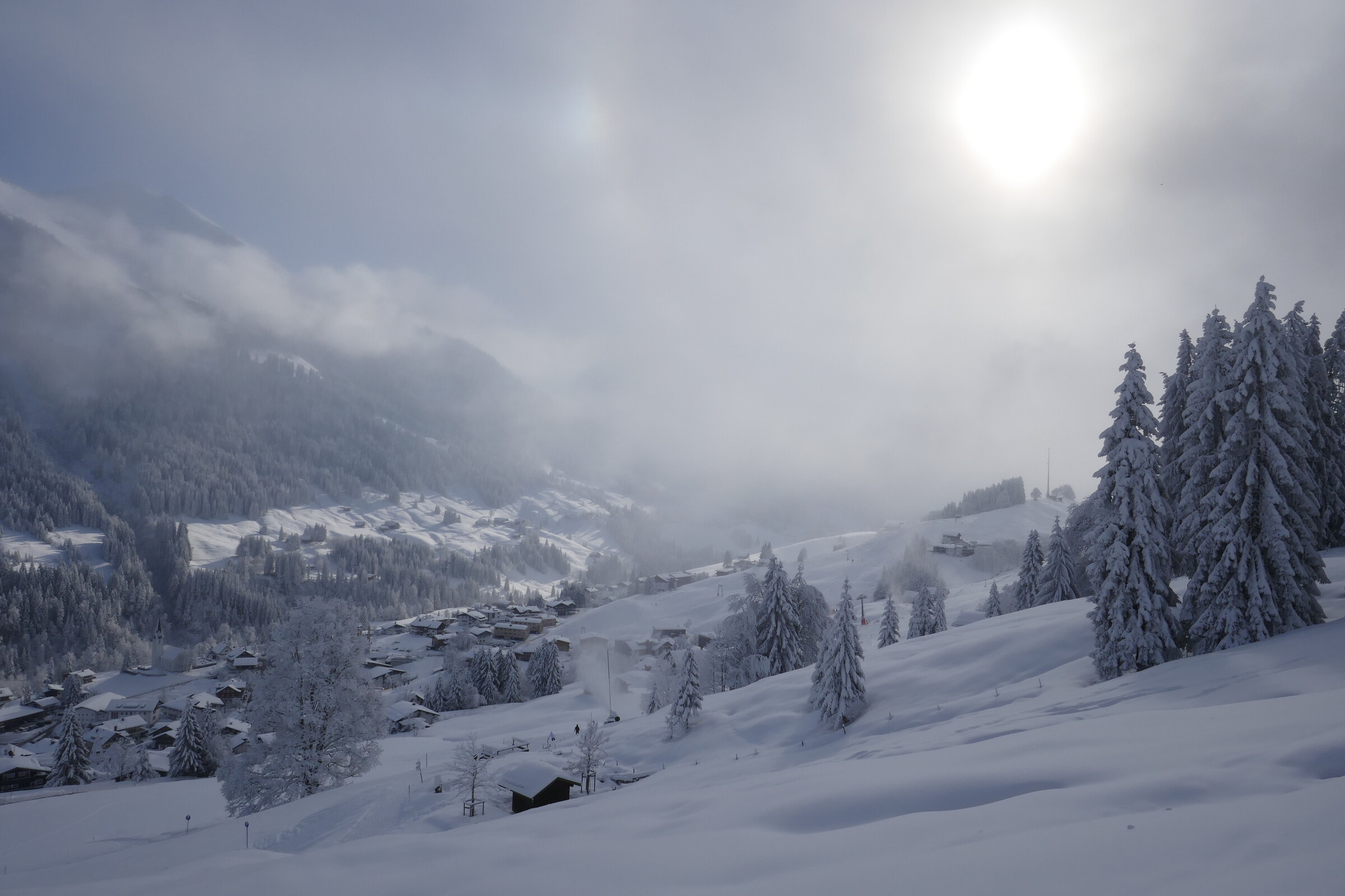 P1150503.JPG