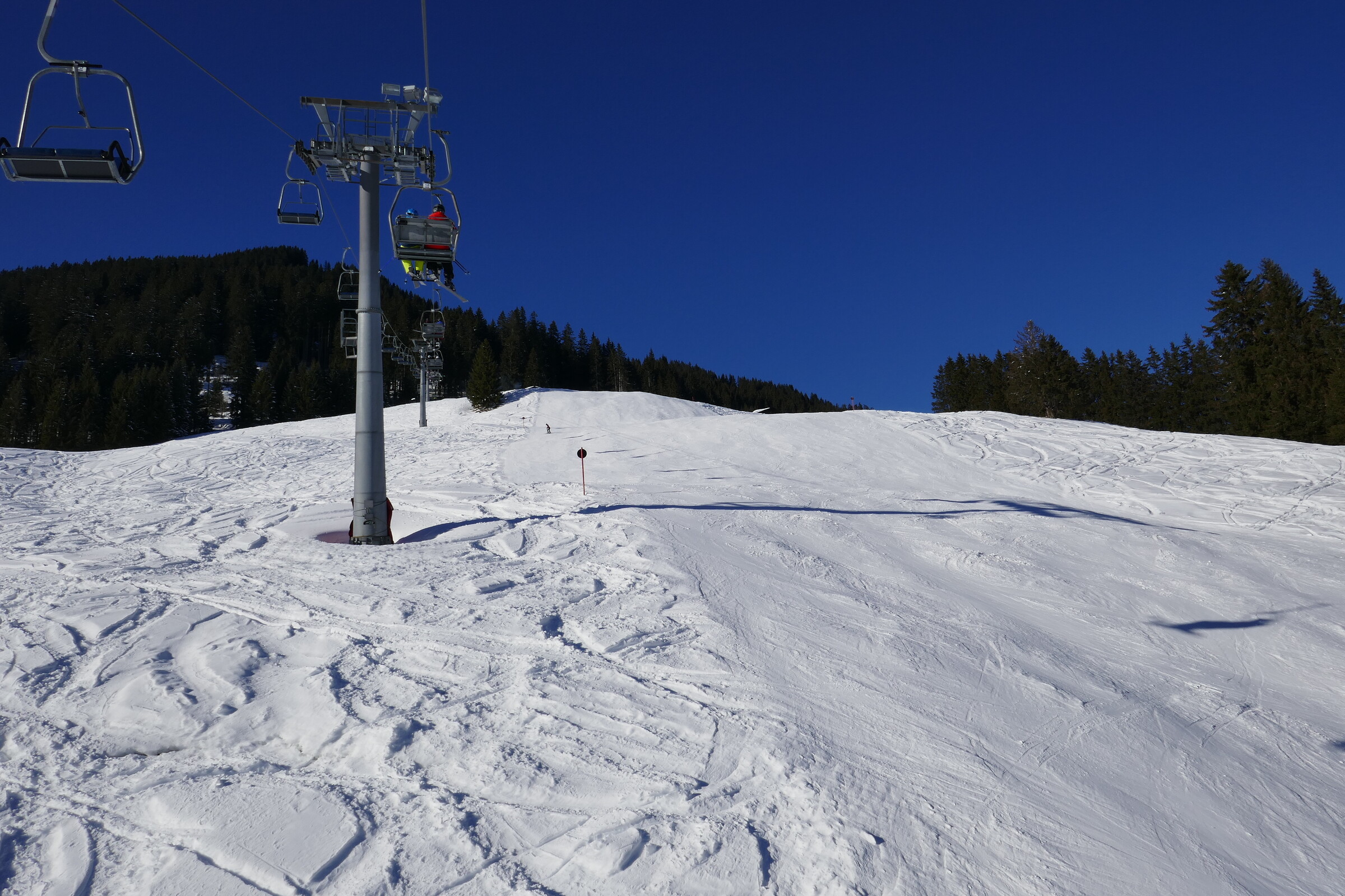 P1160036.JPG