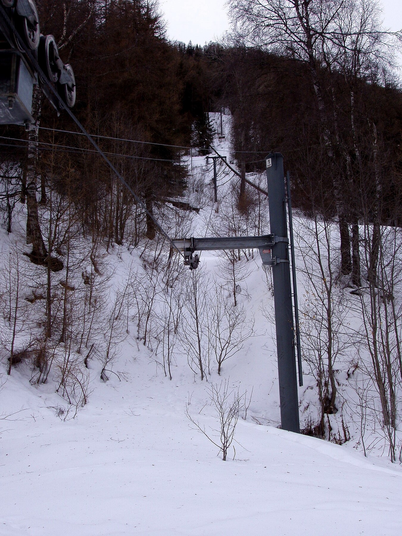 P2130089.JPG