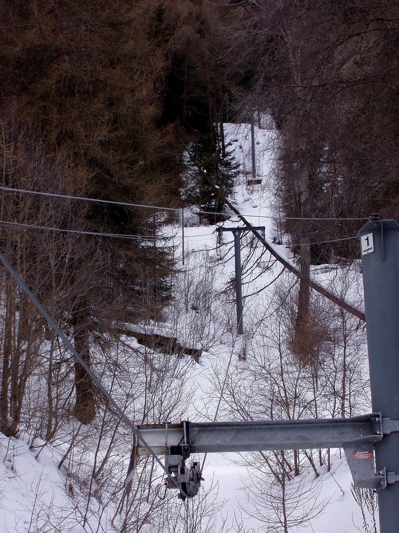 P2130090.JPG