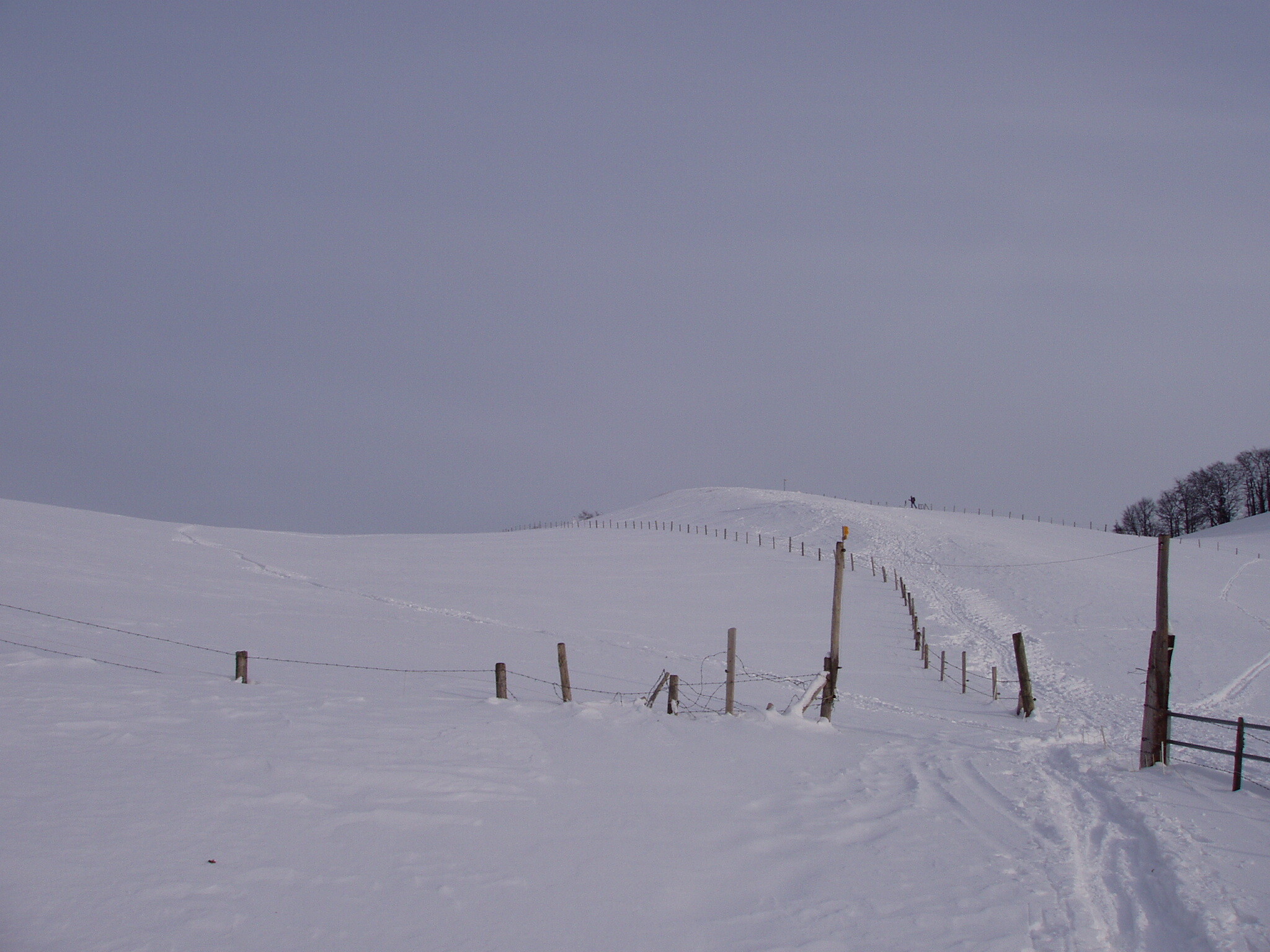 P3010135.JPG
