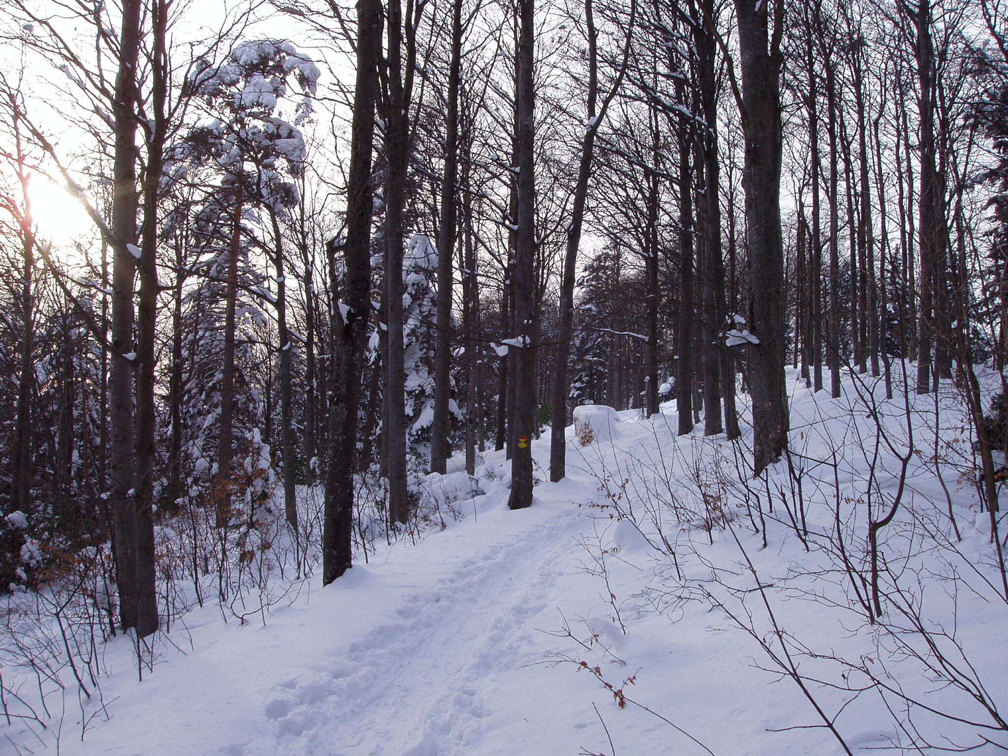 P3010153.JPG