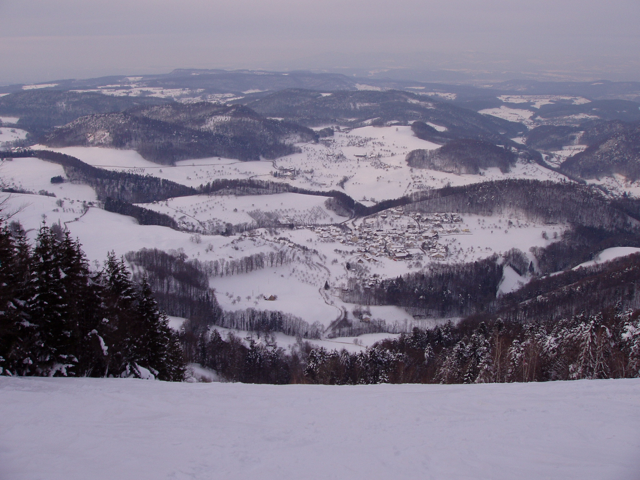 P3010157.JPG