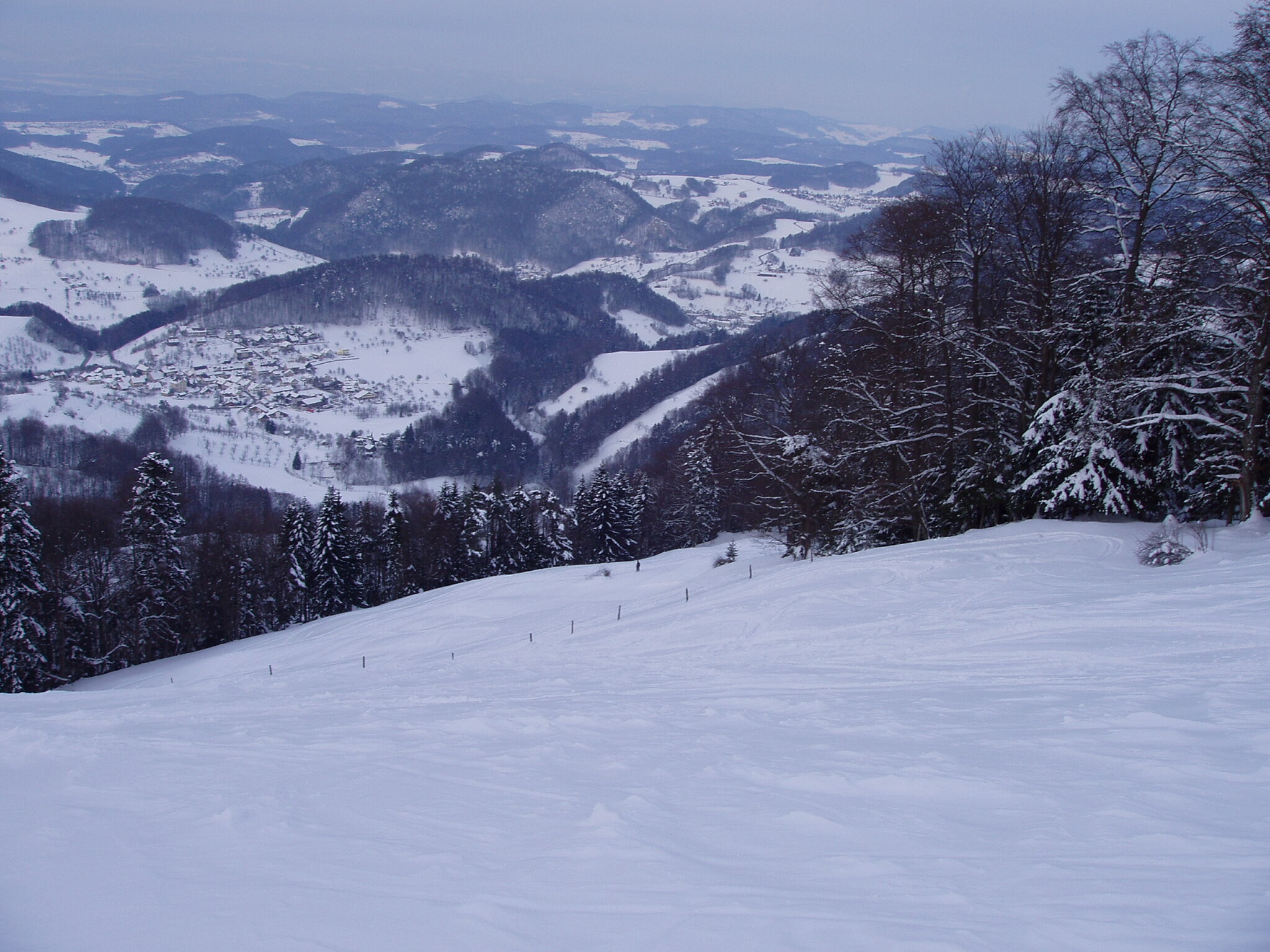 P3010168.JPG