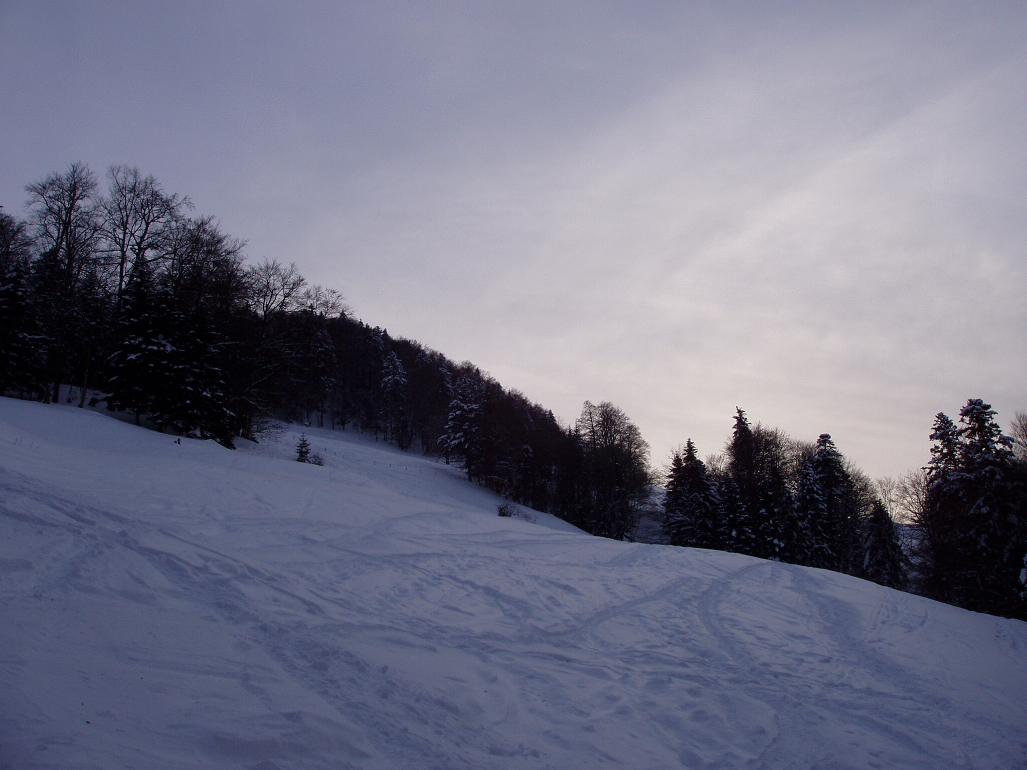 P3010169.JPG