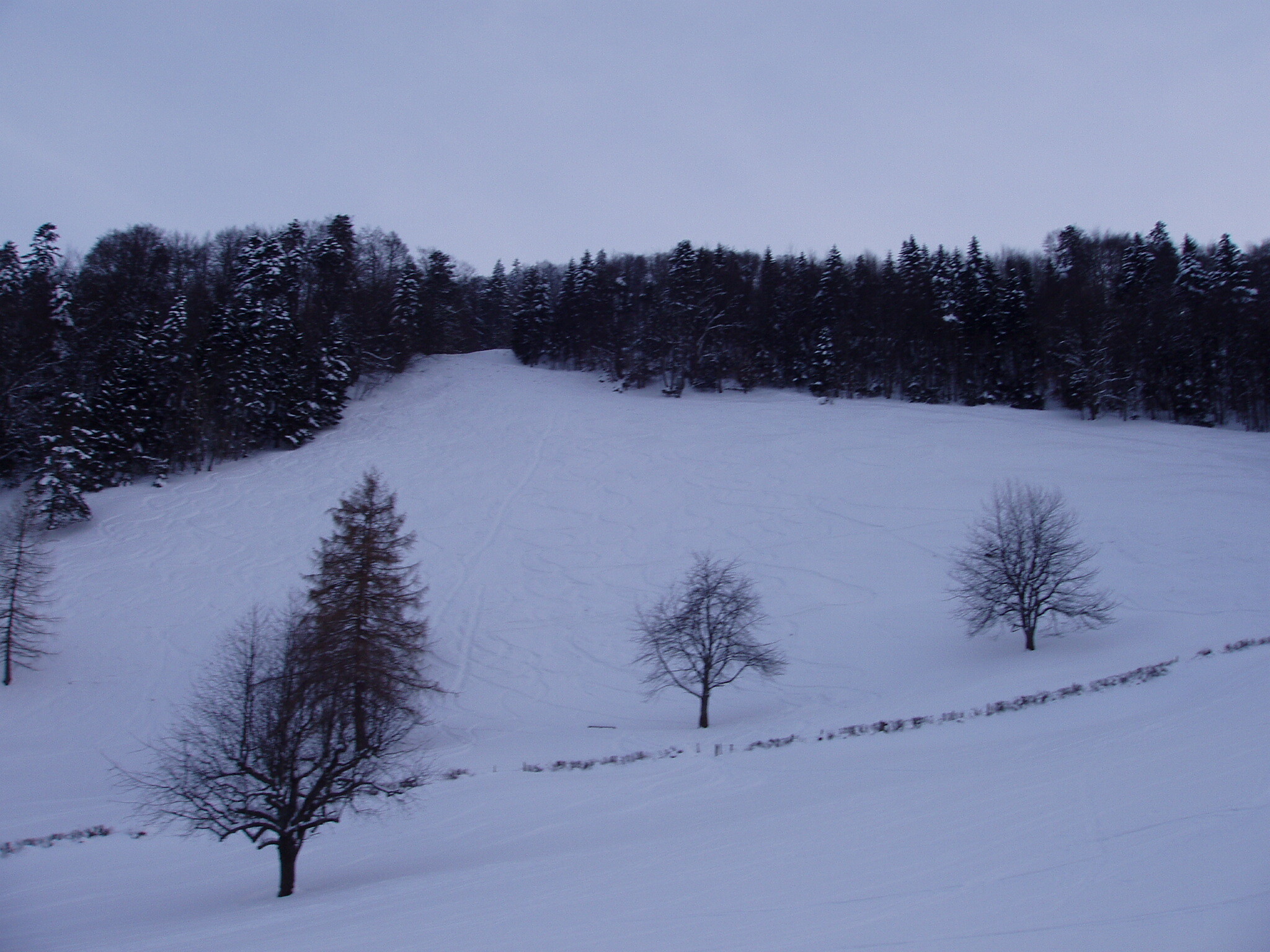 P3010174.JPG