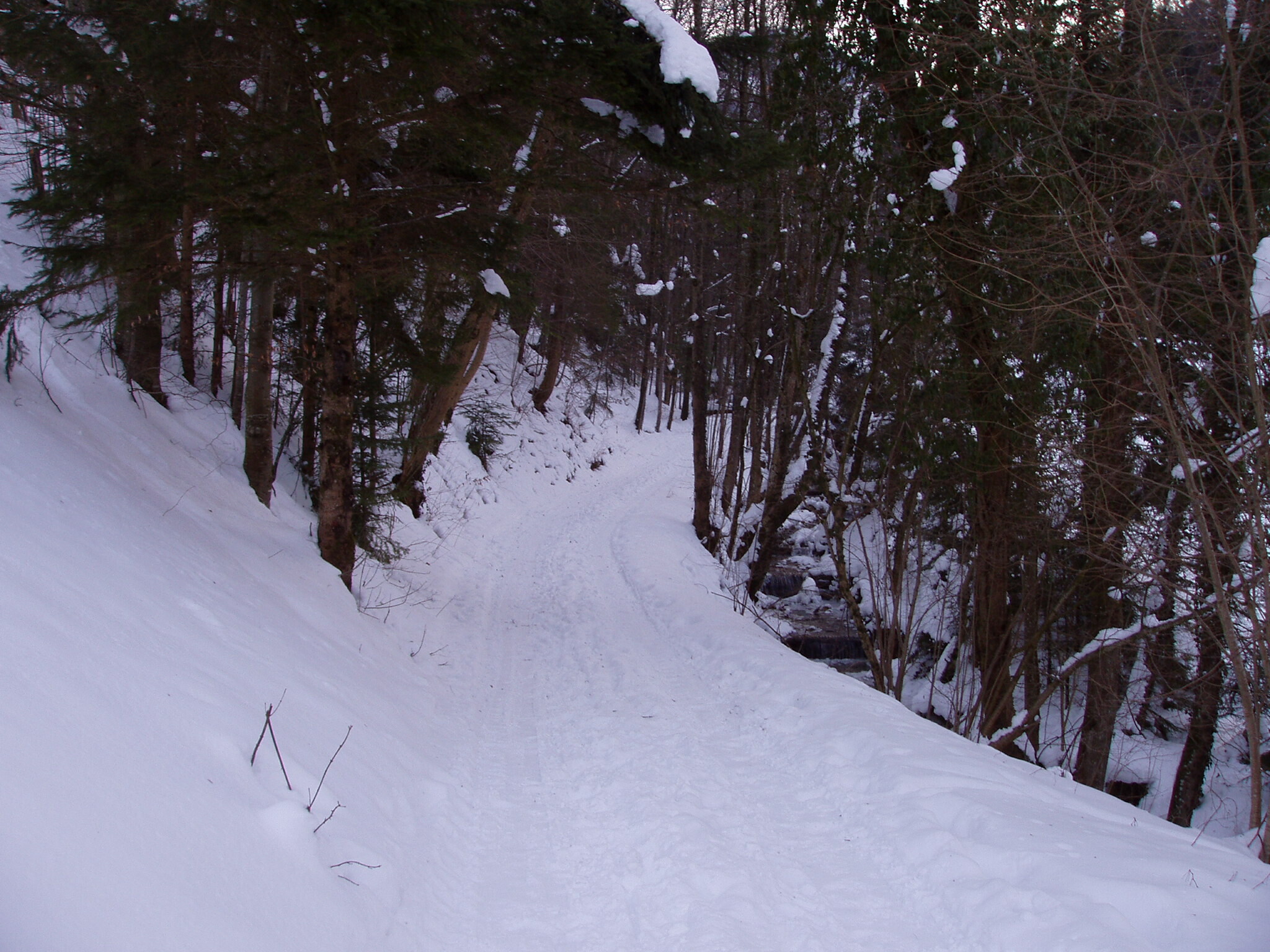 P3010177.JPG