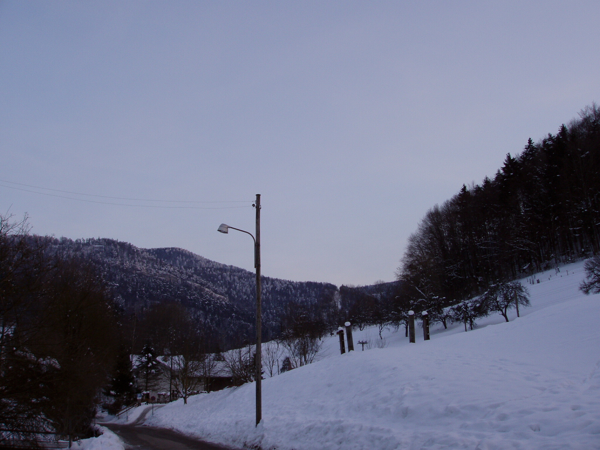 P3010178.JPG