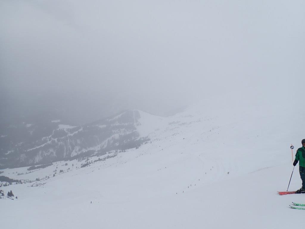 P3150020.jpg
