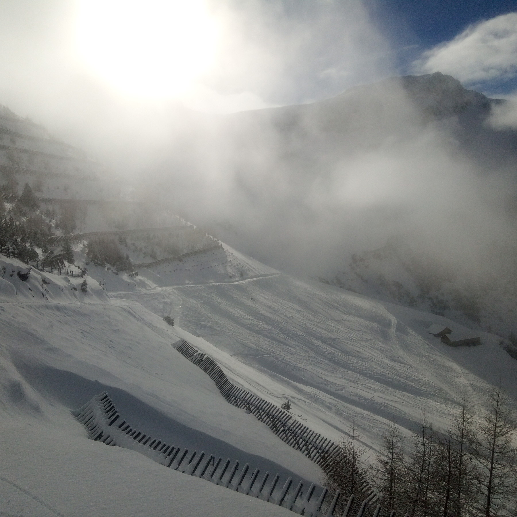 powder.jpg