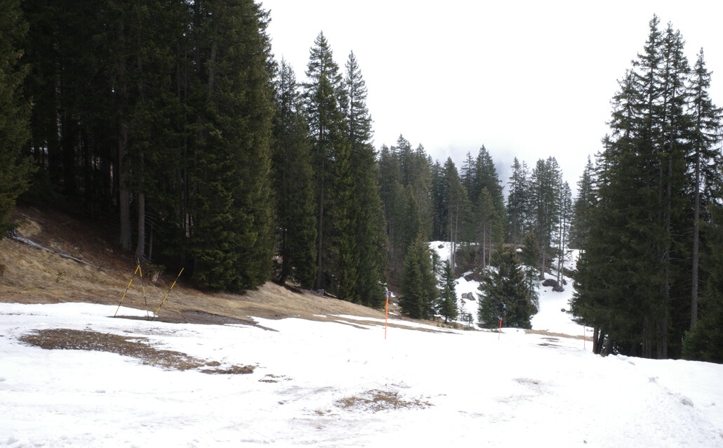 R0000003.jpg