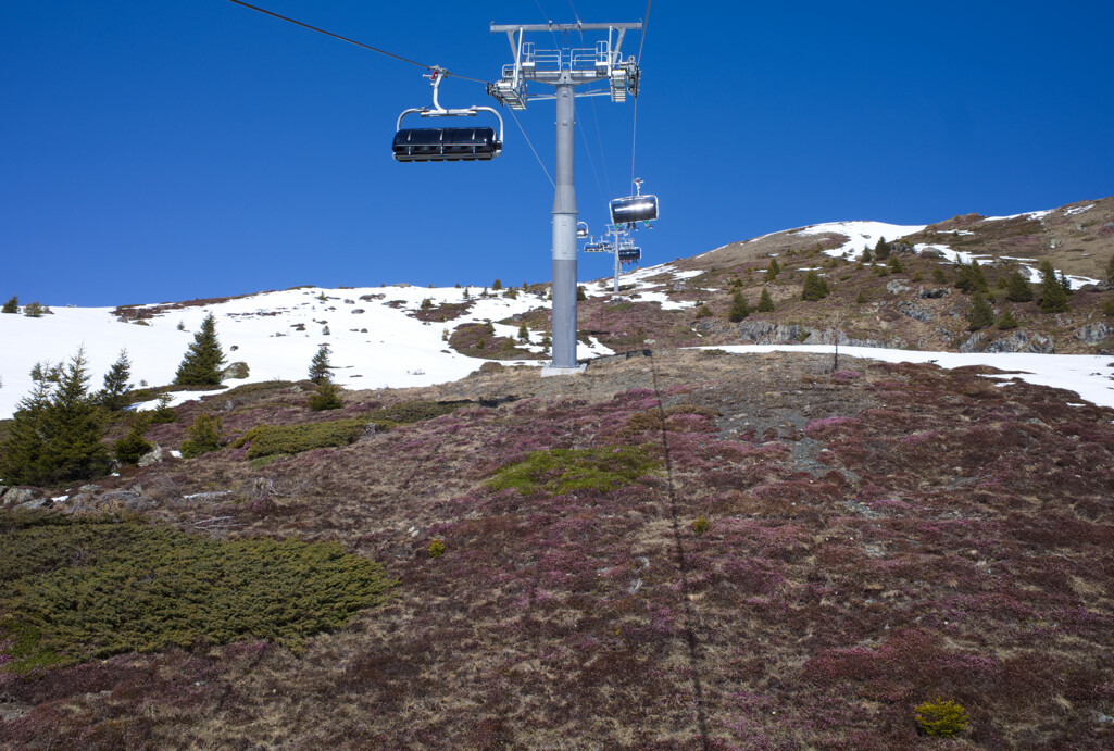R0000006.jpg