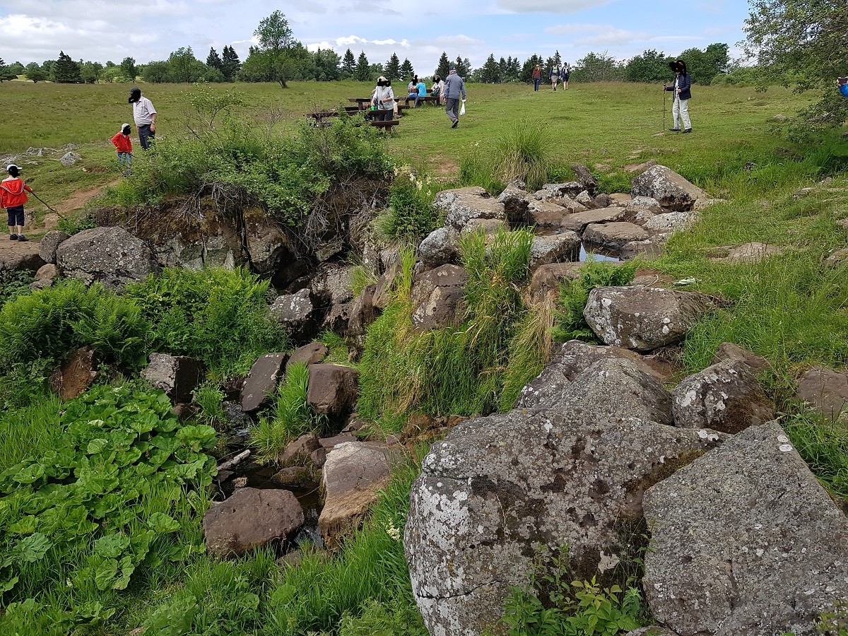 Rhön Wasserfall.jpg