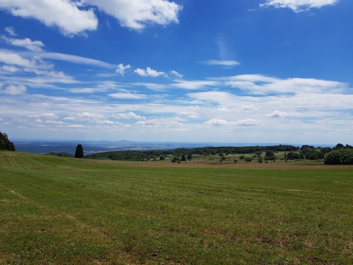 Röhn 28.jpg