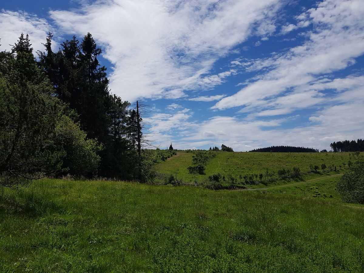 Röhn 33.jpg