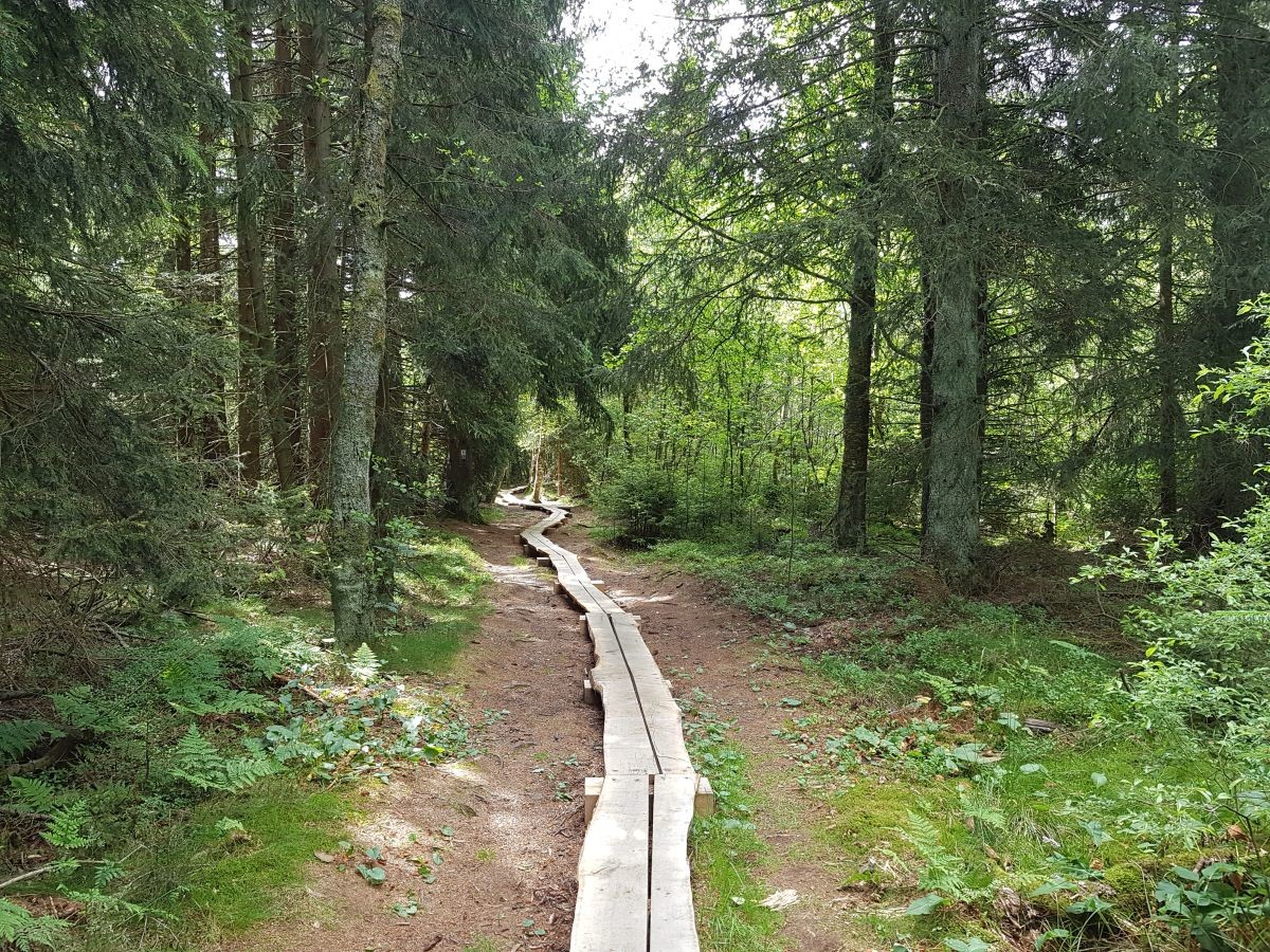 Röhn 5.jpg