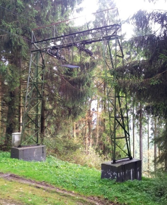 schwa08.jpg