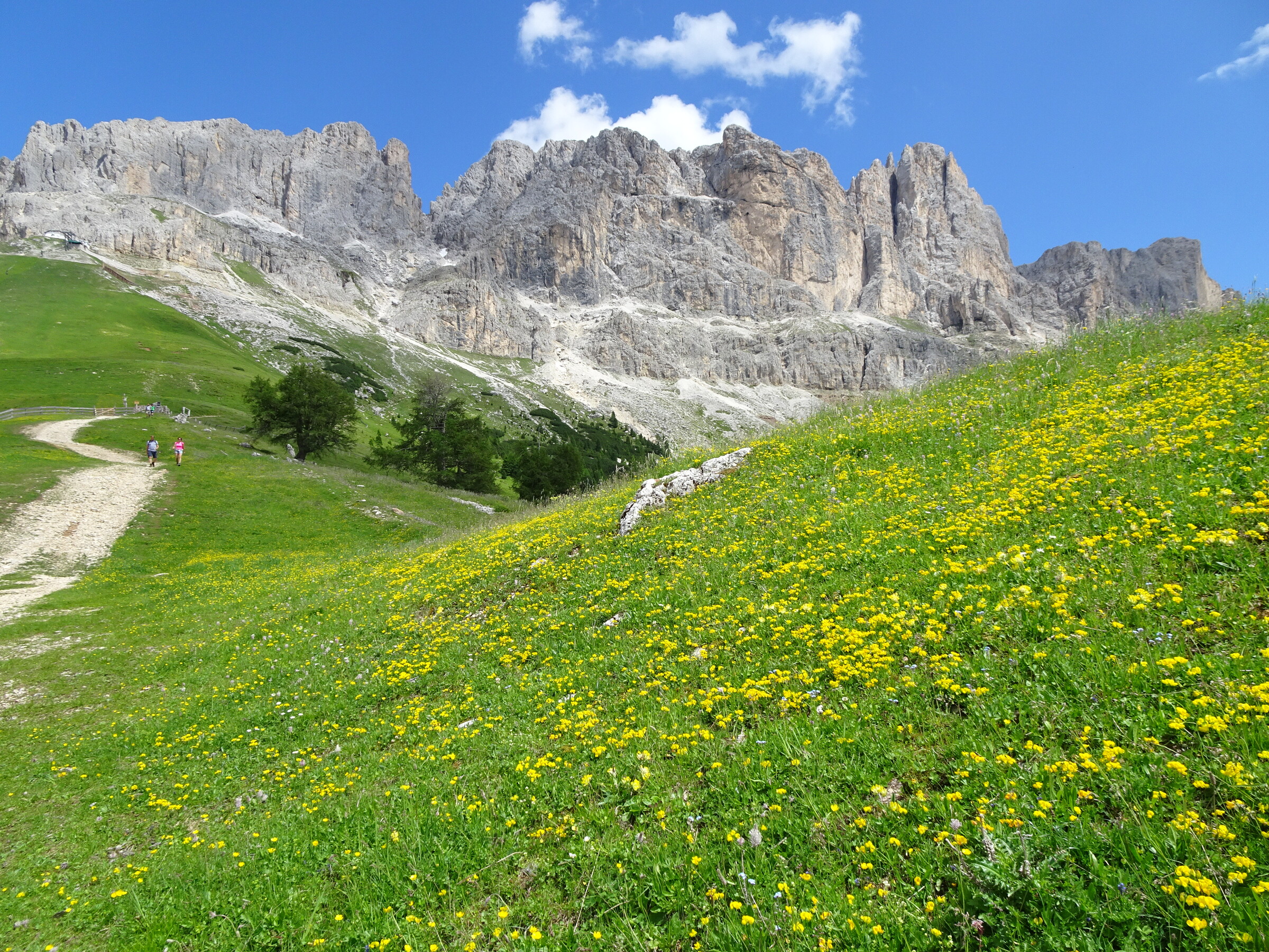 Sommer (4).JPG