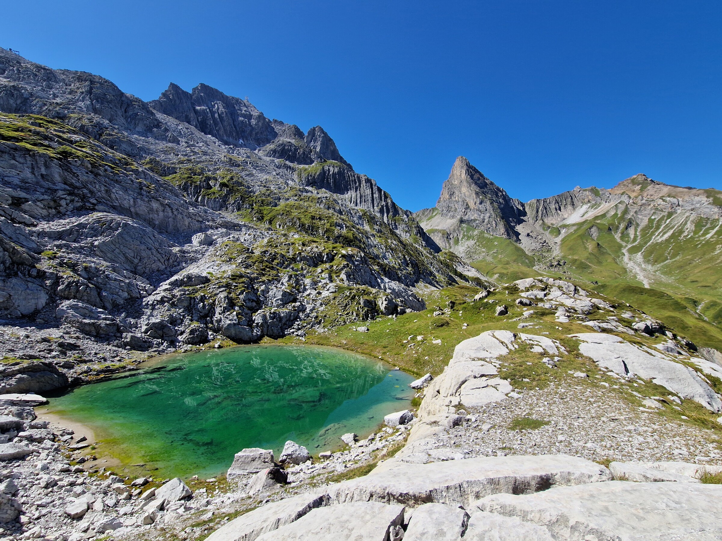 Sommer (9).jpg