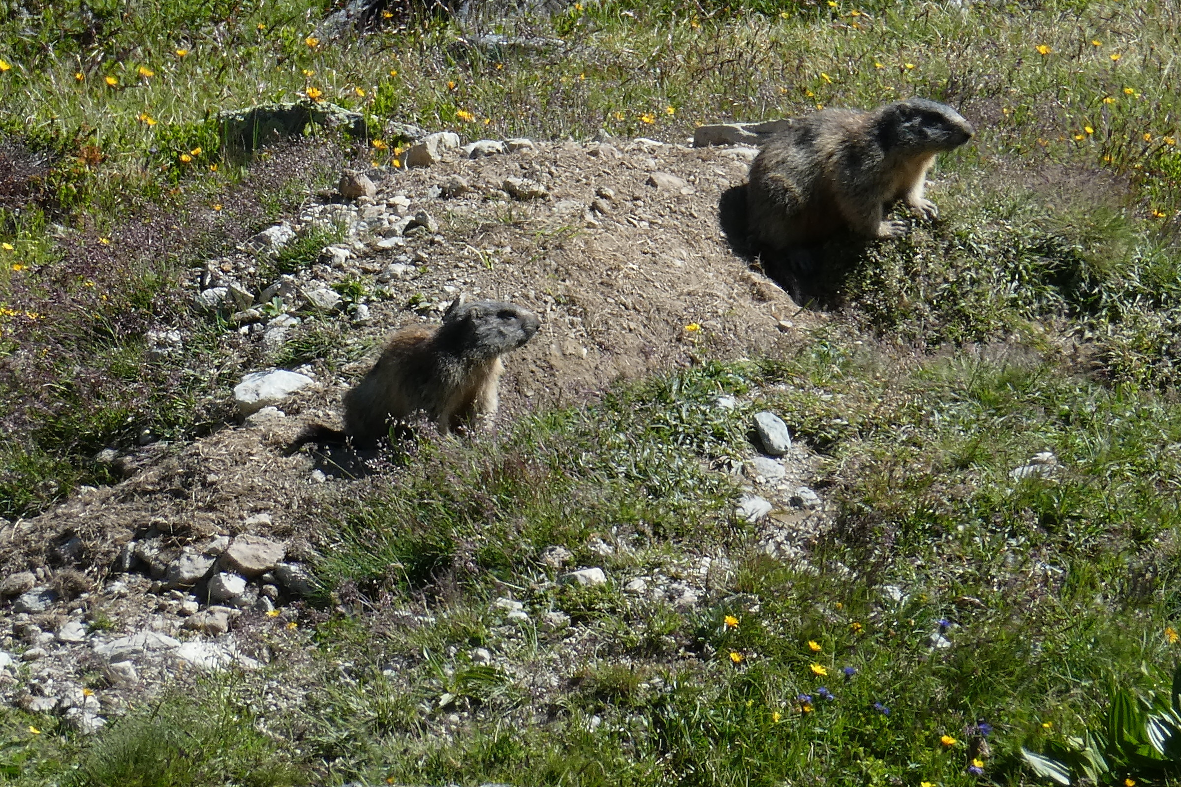 St. Moritz 225.JPG