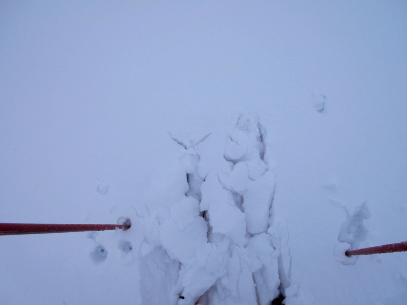 Tuxerjoch_Schnee.jpeg