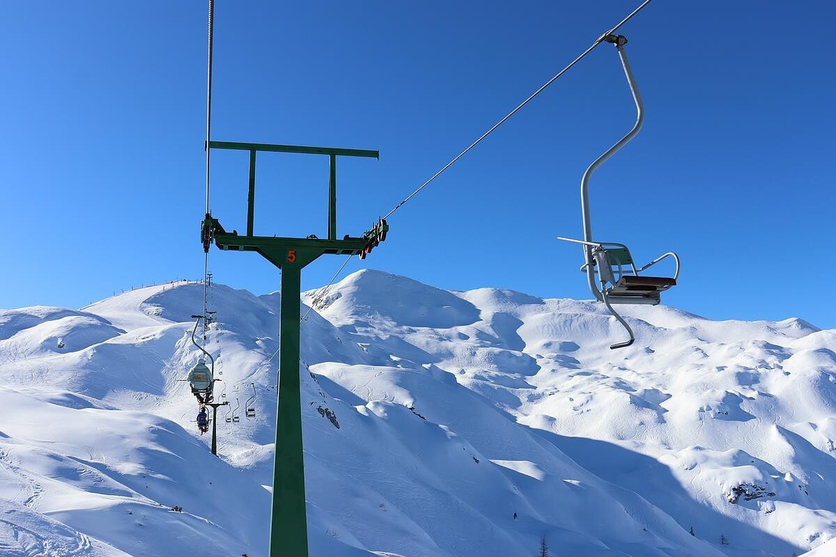 vogel19.jpg