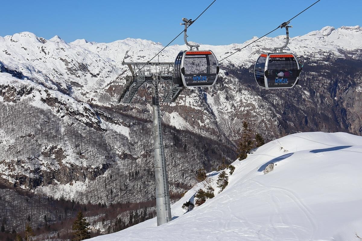 vogel44.jpg