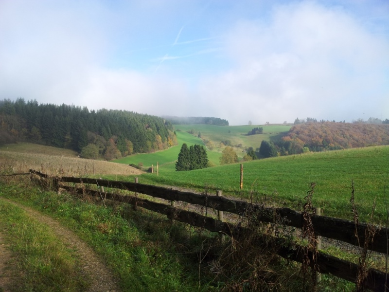 weg02.jpg