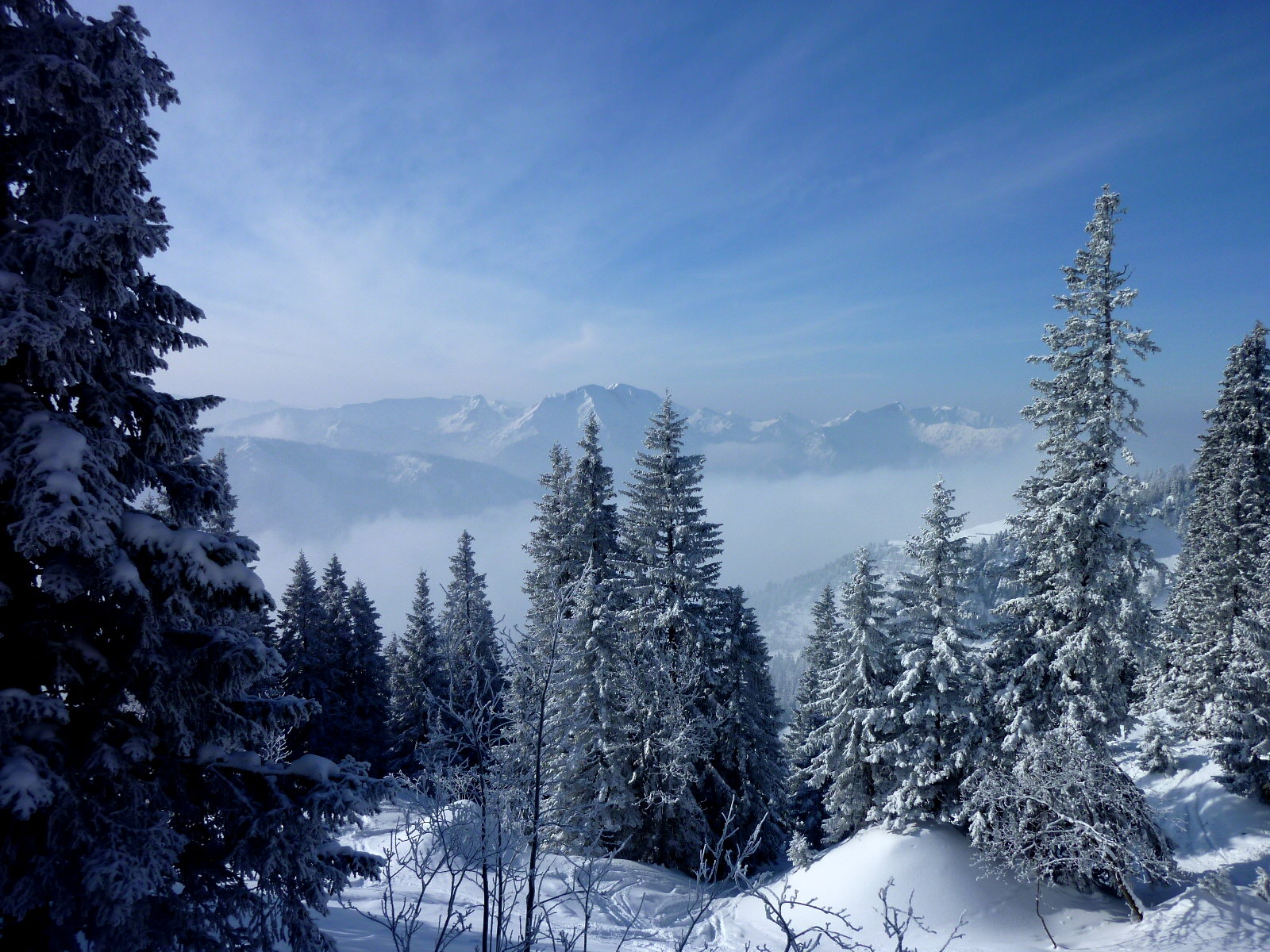 wendelstein.jpg