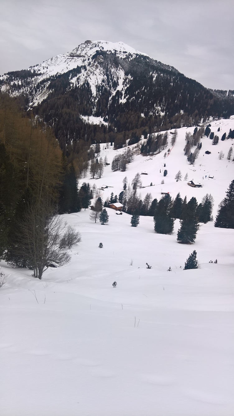 WP_20171218_10_09_39_Pro.jpg