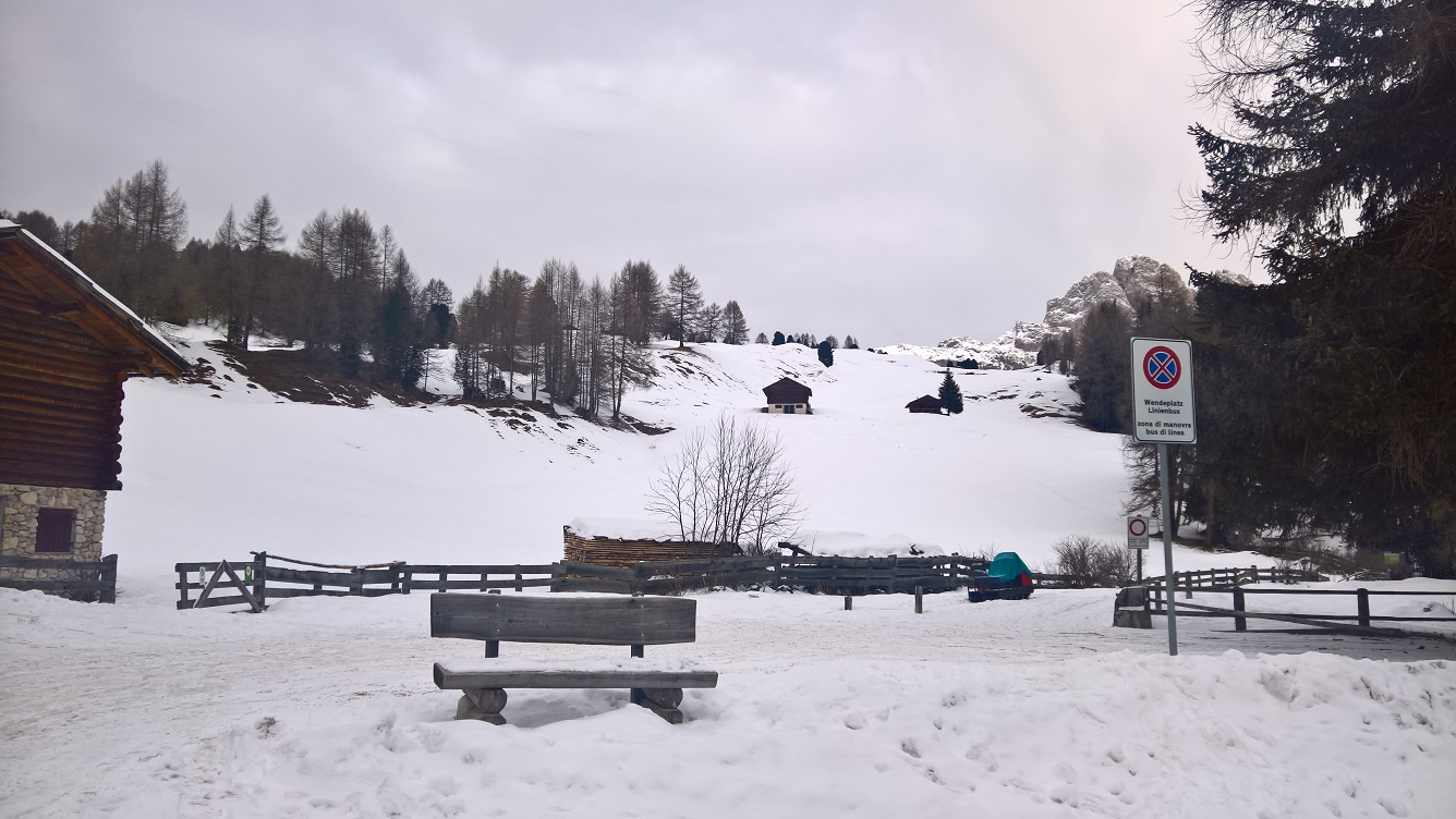 WP_20171218_10_22_06_Pro.jpg