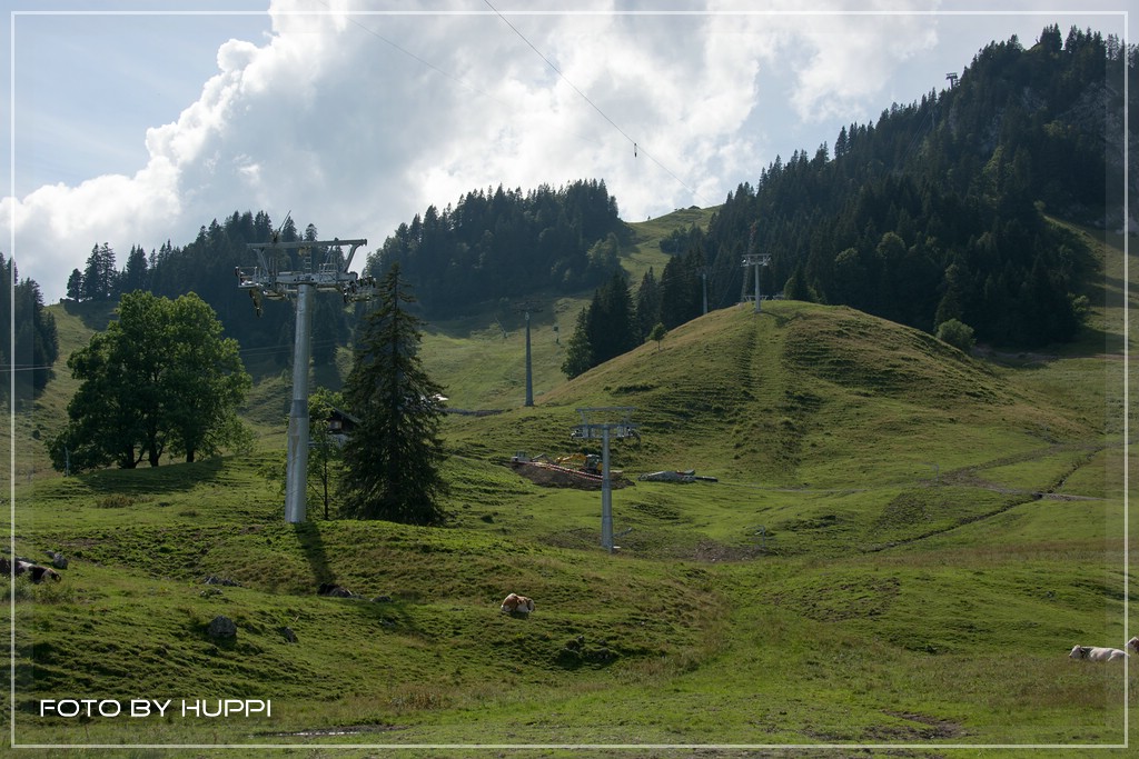 comp_dsc0154ulcgi.jpg