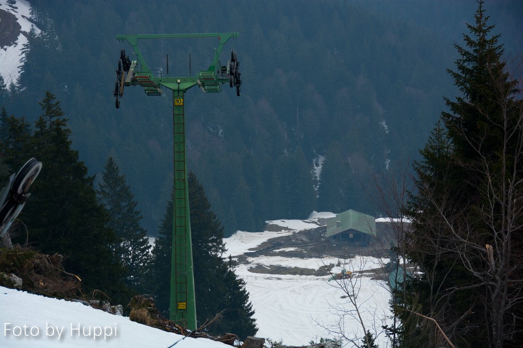 comp_dsc1664gojxa.jpg