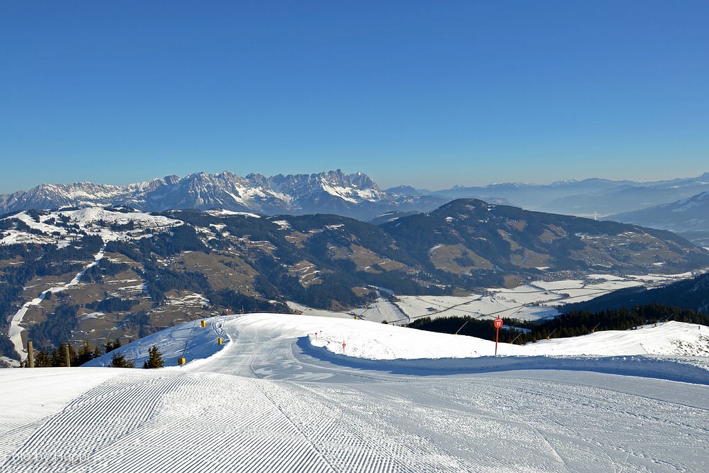 comp_dsc_0012fy4x.jpg