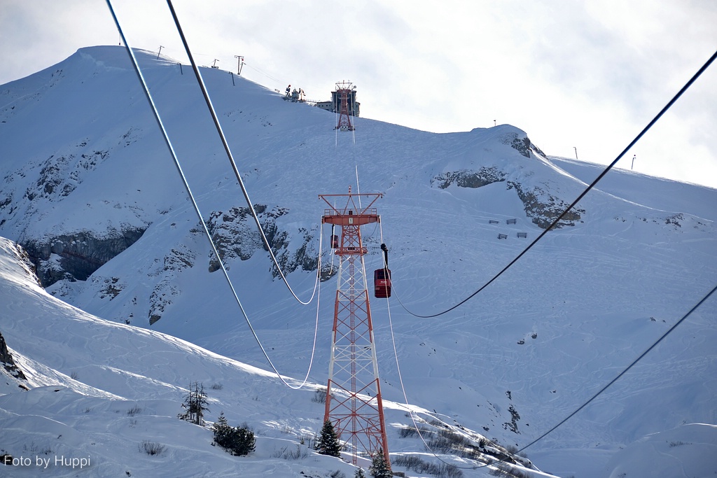 comp_dsc_0033xuun.jpg