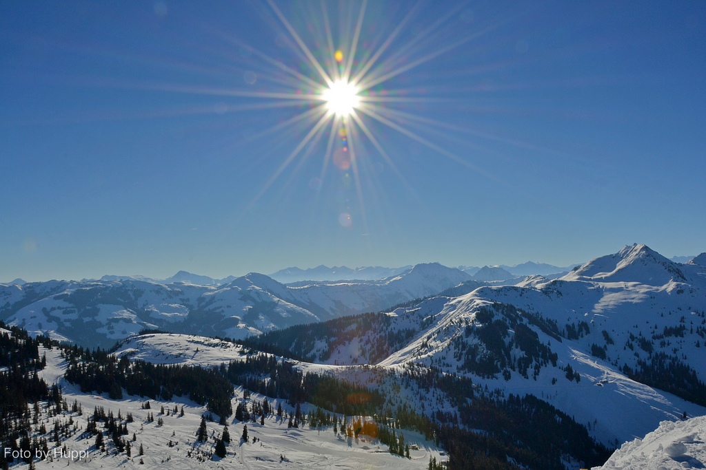 comp_dsc_0037r9w9.jpg