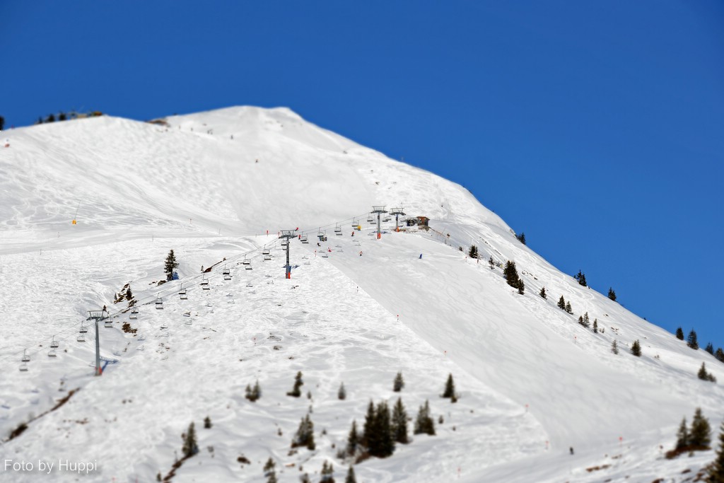 comp_dsc_00415byo.jpg