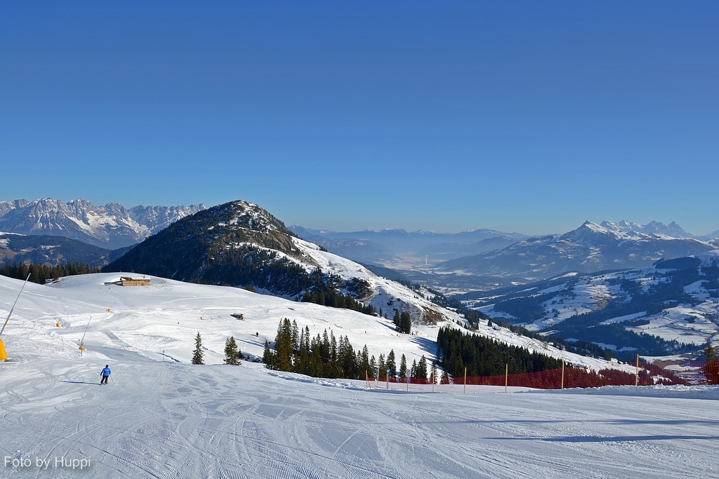 comp_dsc_005419bv.jpg