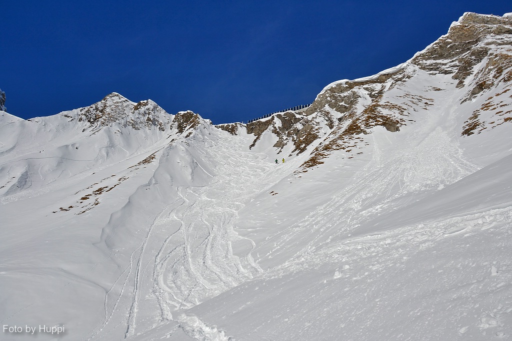 comp_dsc_0054ruc8.jpg