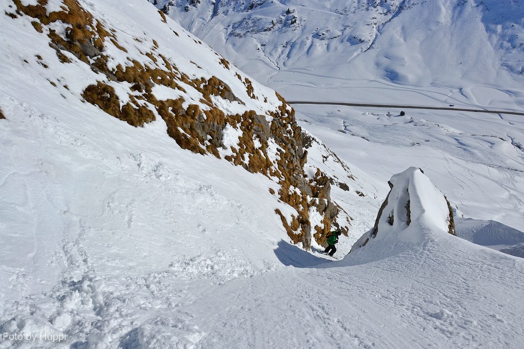 comp_dsc_0063xuzh.jpg