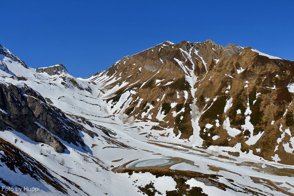 comp_dsc_0079kt6z.jpg