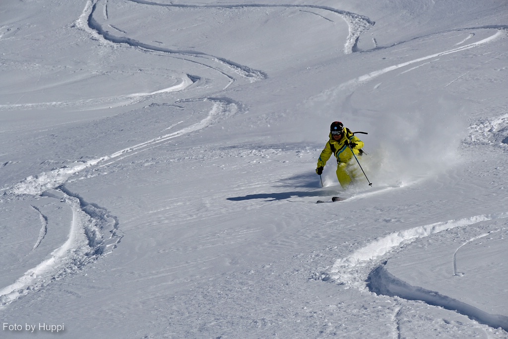 comp_dsc_01079uem.jpg