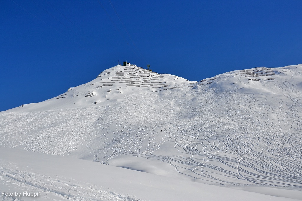comp_dsc_01191u3w.jpg