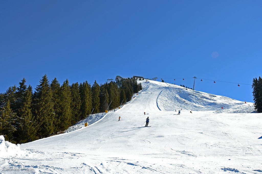 comp_dsc_0124zbgn.jpg