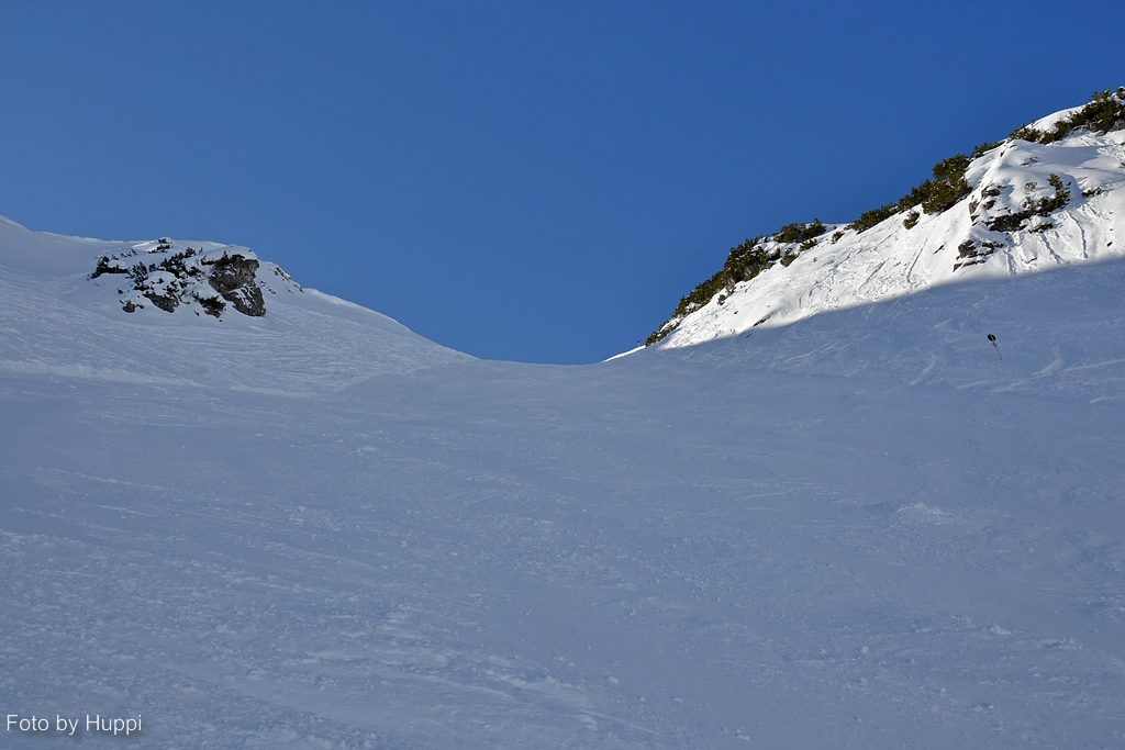 comp_dsc_0131pnx6.jpg