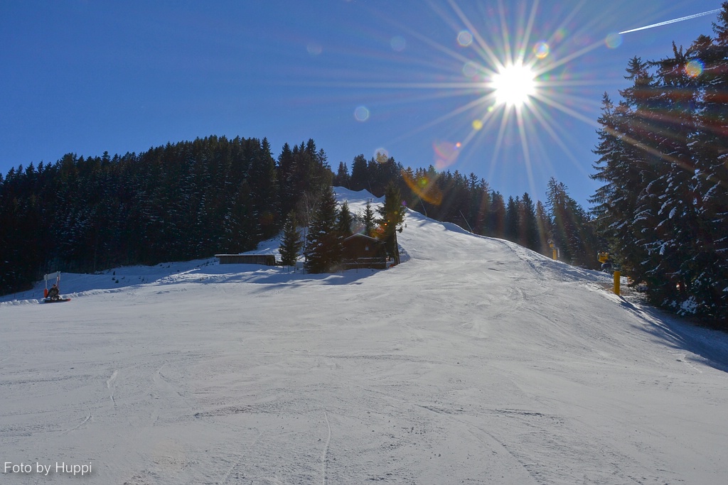 comp_dsc_0147rzzr.jpg
