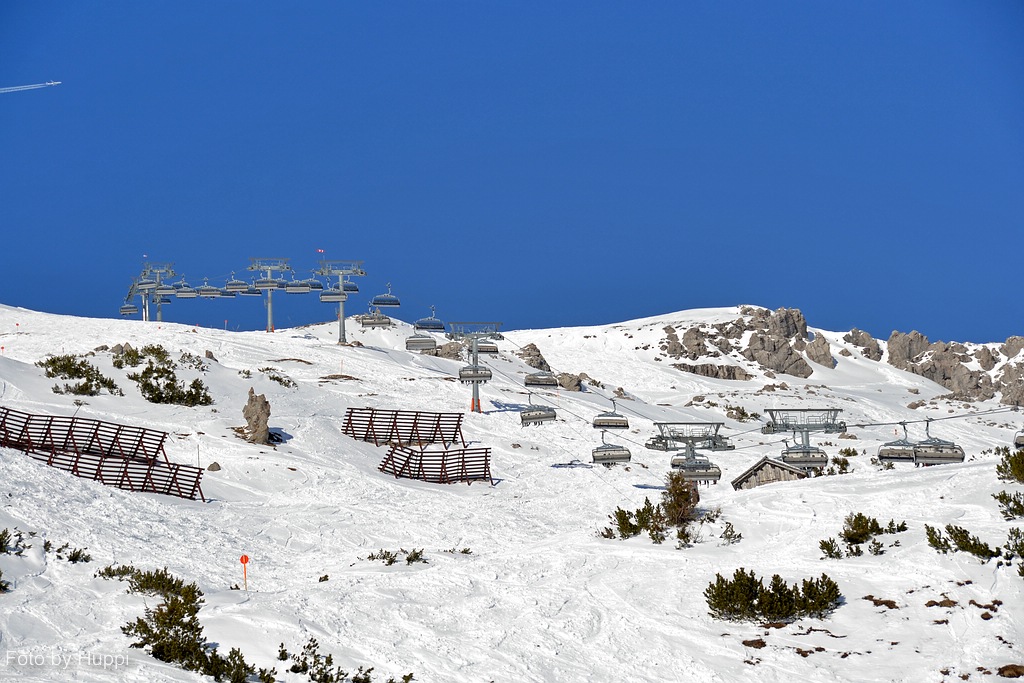 comp_dsc_0184puec.jpg