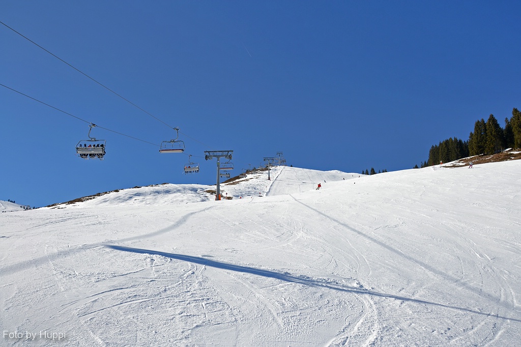 comp_dsc_01937bzg.jpg